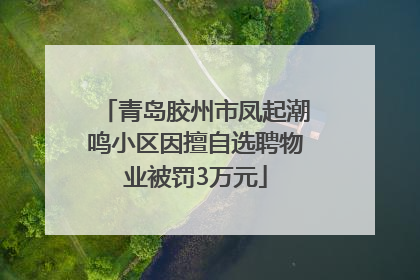 青岛胶州市凤起潮鸣小区因擅自选聘物业被罚3万元