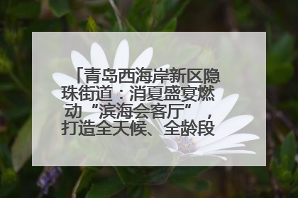 青岛西海岸新区隐珠街道：消夏盛宴燃动“滨海会客厅”，打造全天候、全龄段消费生态圈