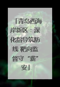 青岛西海岸新区：深化指导筑防线 靶向监督守“薪”安