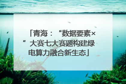 青海：“数据要素×”大赛七大赛题构建绿电算力融合新生态
