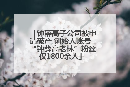 钟薛高子公司被申请破产 创始人账号“钟薛高老林”粉丝仅1800余人