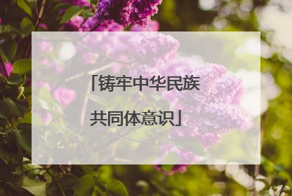 铸牢中华民族共同体意识