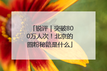 锐评｜突破800万人次！北京的圈粉秘籍是什么