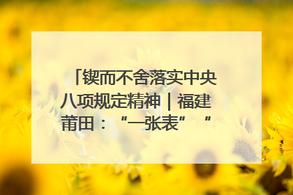 锲而不舍落实中央八项规定精神｜福建莆田：“一张表”“一张图”为基层减轻“数字负担”