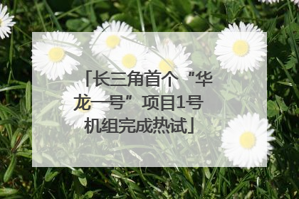 长三角首个“华龙一号”项目1号机组完成热试