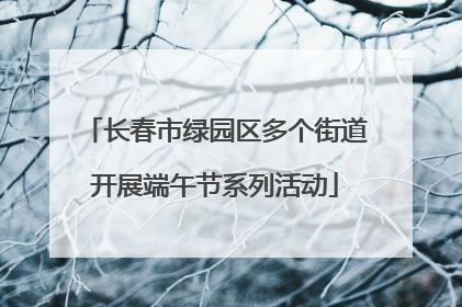 长春市绿园区多个街道开展端午节系列活动