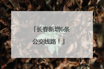长春新增6条公交线路！
