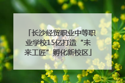 长沙经贸职业中等职业学校15亿打造“未来工匠”孵化新校区