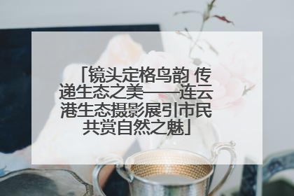 镜头定格鸟韵 传递生态之美——连云港生态摄影展引市民共赏自然之魅