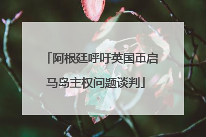 阿根廷呼吁英国重启马岛主权问题谈判