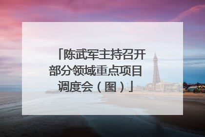 陈武军主持召开部分领域重点项目调度会（图）