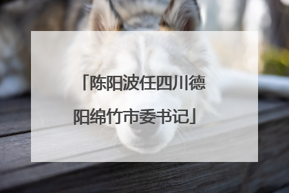 陈阳波任四川德阳绵竹市委书记