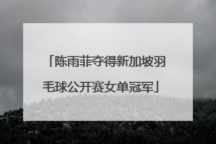 陈雨菲夺得新加坡羽毛球公开赛女单冠军