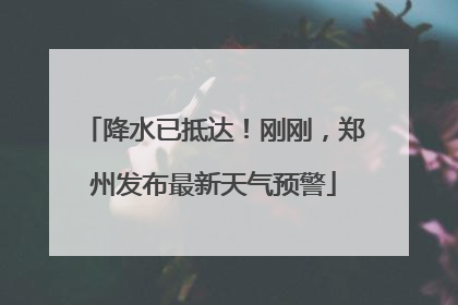 降水已抵达！刚刚，郑州发布最新天气预警