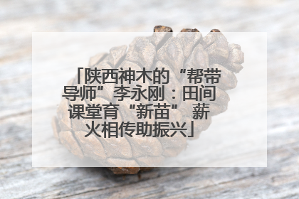 陕西神木的“帮带导师”李永刚：田间课堂育“新苗” 薪火相传助振兴