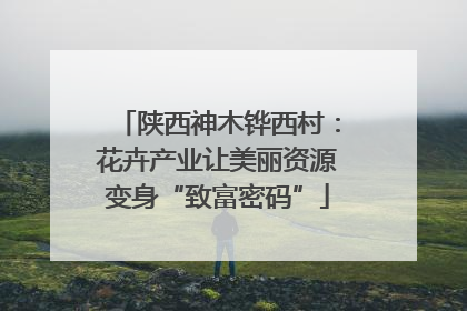 陕西神木铧西村：花卉产业让美丽资源变身“致富密码”