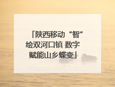 陕西移动“智”绘双河口镇 数字赋能山乡蝶变