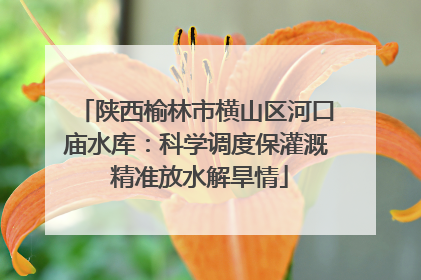 陕西榆林市横山区河口庙水库：科学调度保灌溉 精准放水解旱情