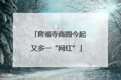 隆福寺商圈今起又多一“网红”