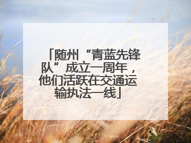 随州“青蓝先锋队”成立一周年，他们活跃在交通运输执法一线