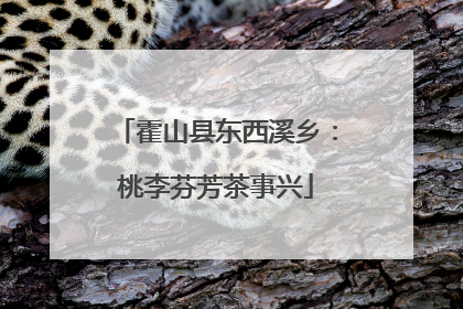 霍山县东西溪乡：桃李芬芳茶事兴