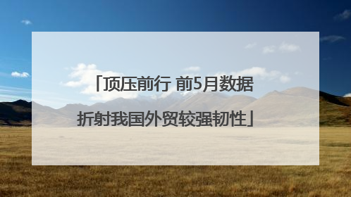 顶压前行 前5月数据折射我国外贸较强韧性