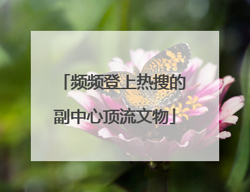频频登上热搜的副中心顶流文物