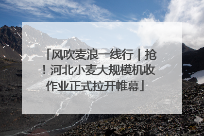 风吹麦浪一线行｜抢！河北小麦大规模机收作业正式拉开帷幕