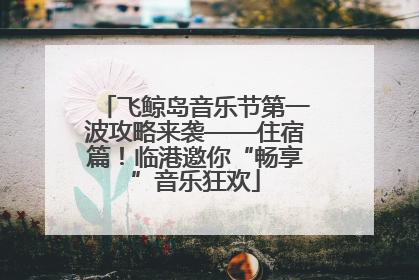 飞鲸岛音乐节第一波攻略来袭——住宿篇！临港邀你“畅享”音乐狂欢