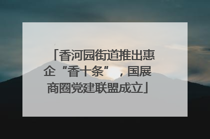 香河园街道推出惠企“香十条”，国展商圈党建联盟成立
