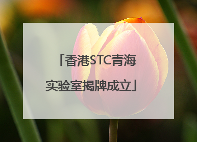 香港STC青海实验室揭牌成立