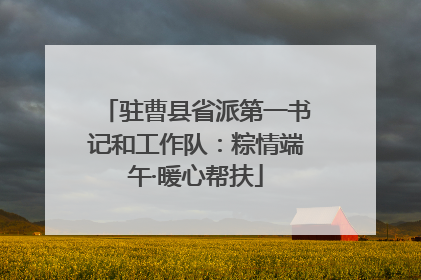 驻曹县省派第一书记和工作队：粽情端午·暖心帮扶