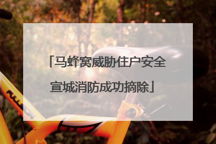 马蜂窝威胁住户安全 宣城消防成功摘除