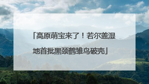 高原萌宝来了！若尔盖湿地首批黑颈鹤雏鸟破壳