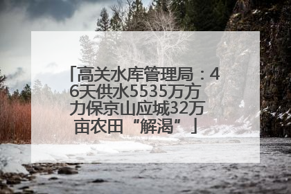 高关水库管理局：46天供水5535万方 力保京山应城32万亩农田“解渴”