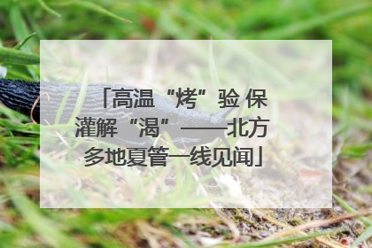 高温“烤”验 保灌解“渴”——北方多地夏管一线见闻