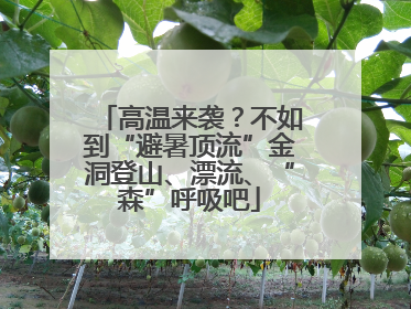 高温来袭？不如到“避暑顶流”金洞登山、漂流、“森”呼吸吧