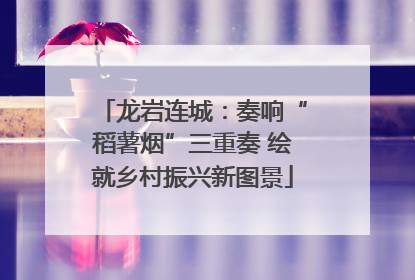 龙岩连城：奏响“稻薯烟”三重奏 绘就乡村振兴新图景