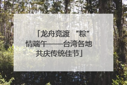 龙舟竞渡 “粽”情端午——台湾各地共庆传统佳节