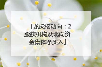 龙虎榜动向：2股获机构及北向资金集体净买入