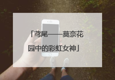 鸢尾——莫奈花园中的彩虹女神