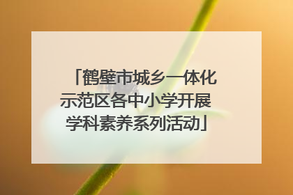 鹤壁市城乡一体化示范区各中小学开展学科素养系列活动