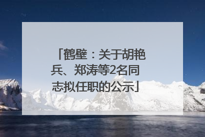 鹤壁：关于胡艳兵、郑涛等2名同志拟任职的公示