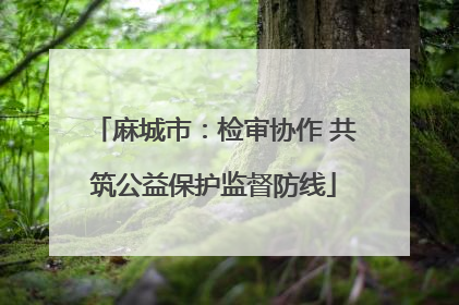 麻城市：检审协作 共筑公益保护监督防线