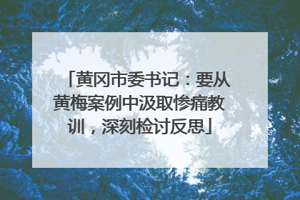 黄冈市委书记：要从黄梅案例中汲取惨痛教训，深刻检讨反思