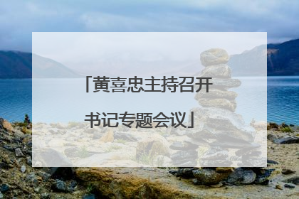 黄喜忠主持召开书记专题会议