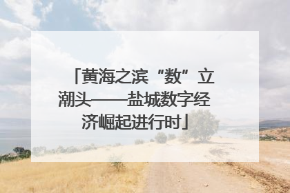 黄海之滨“数”立潮头——盐城数字经济崛起进行时
