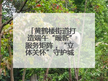 黄鹤楼街道打造端午“暖新”服务矩阵，“立体关怀”守护城市“摆渡人”