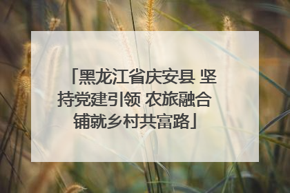 黑龙江省庆安县 坚持党建引领 农旅融合铺就乡村共富路