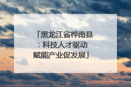 黑龙江省桦南县：科技人才驱动 赋能产业促发展
